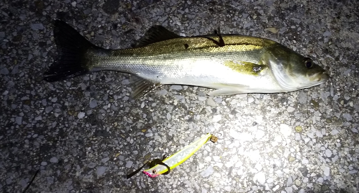 f:id:rioeyattchi:20200711234938j:plain