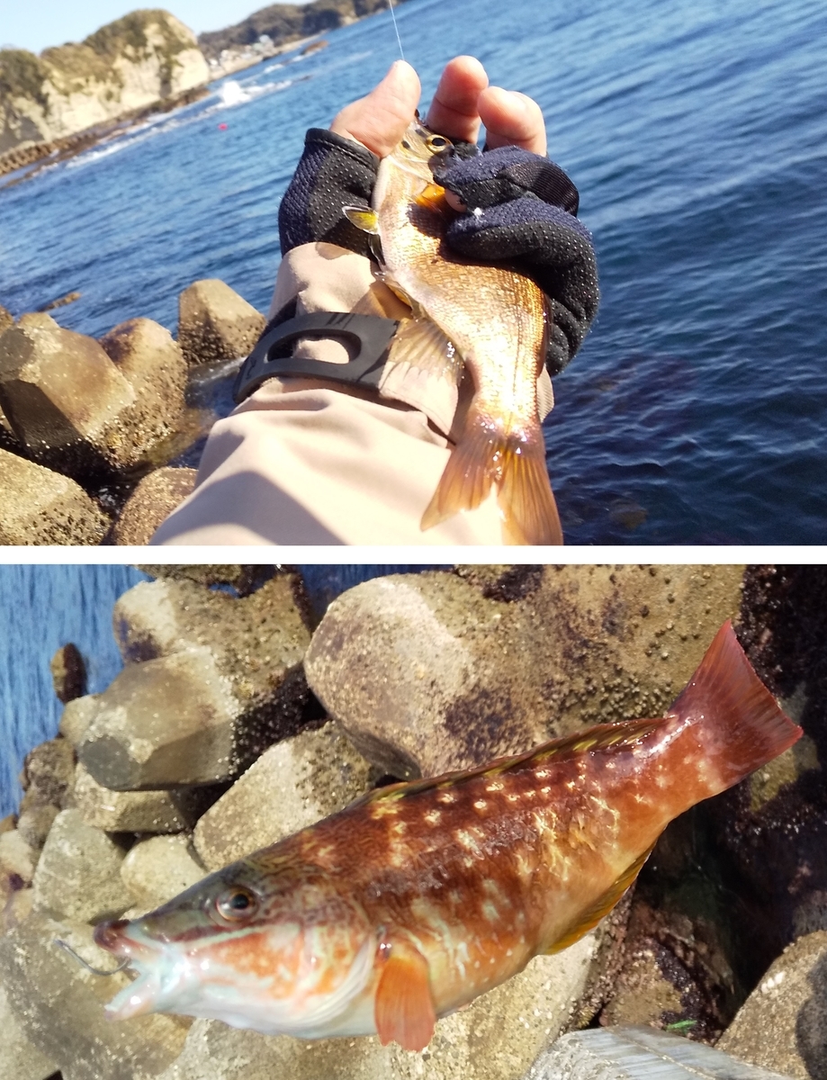 f:id:rioeyattchi:20220109150933j:plain