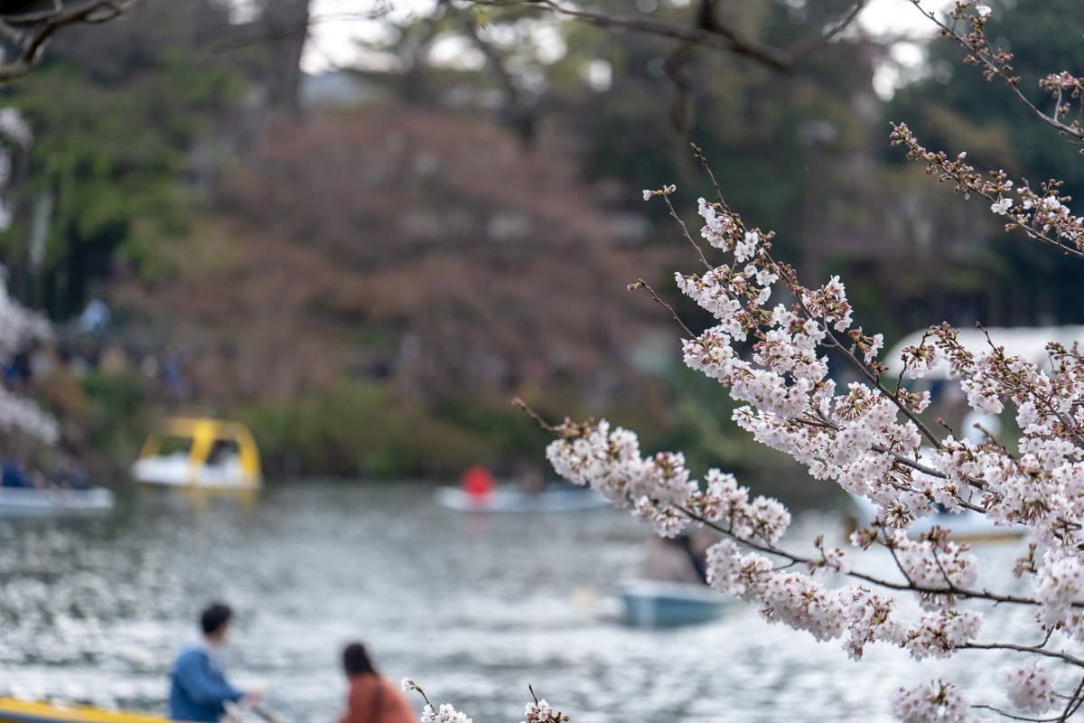 f:id:rion9raven:20190401233817j:plain f:id:rion9raven:20190401233817j:plain