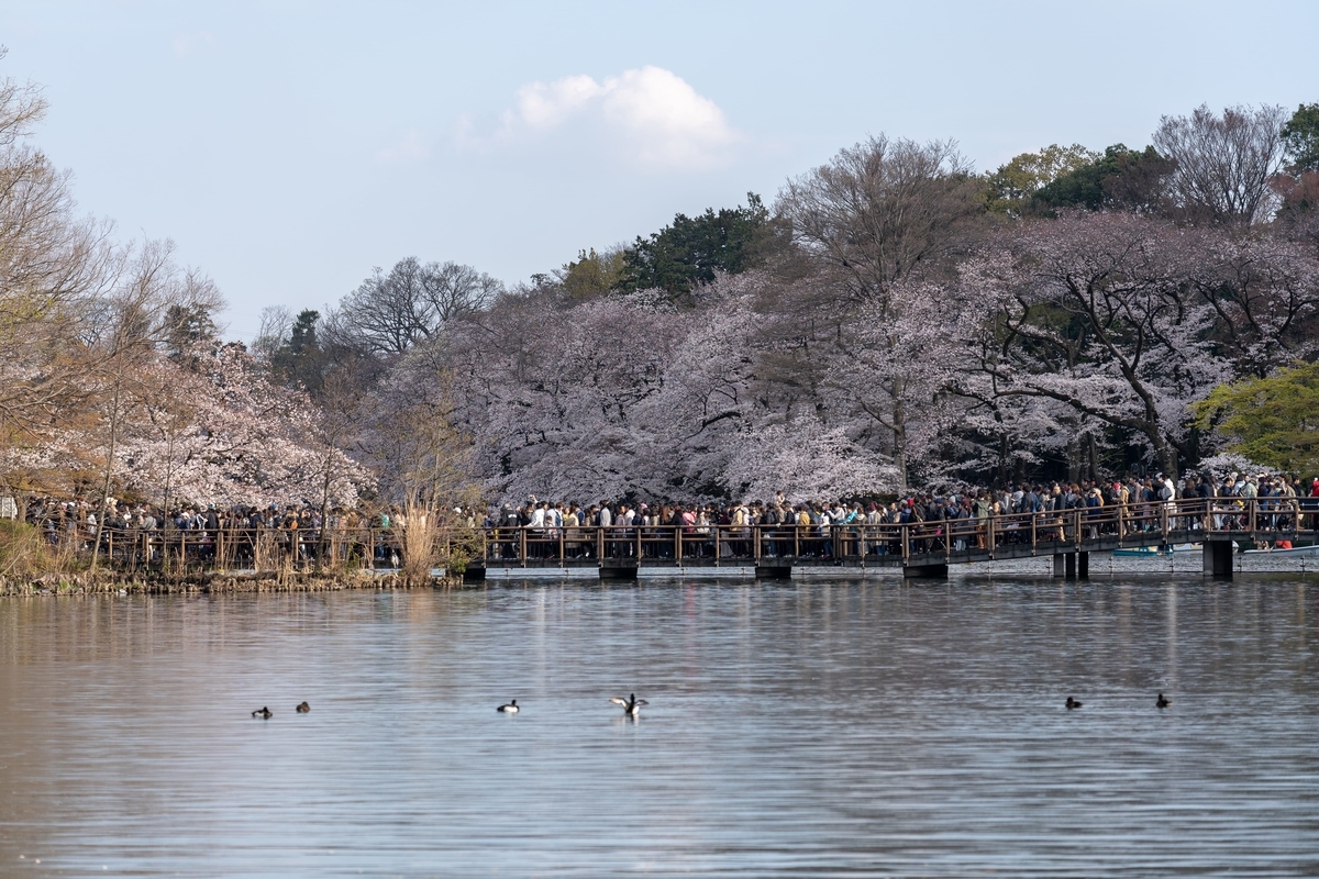 f:id:rion9raven:20190401234032j:plain f:id:rion9raven:20190401234032j:plain