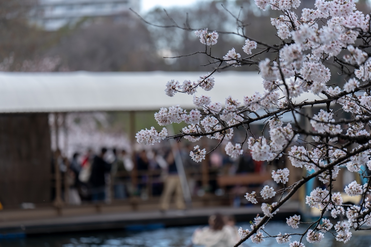 f:id:rion9raven:20190404222424j:plain