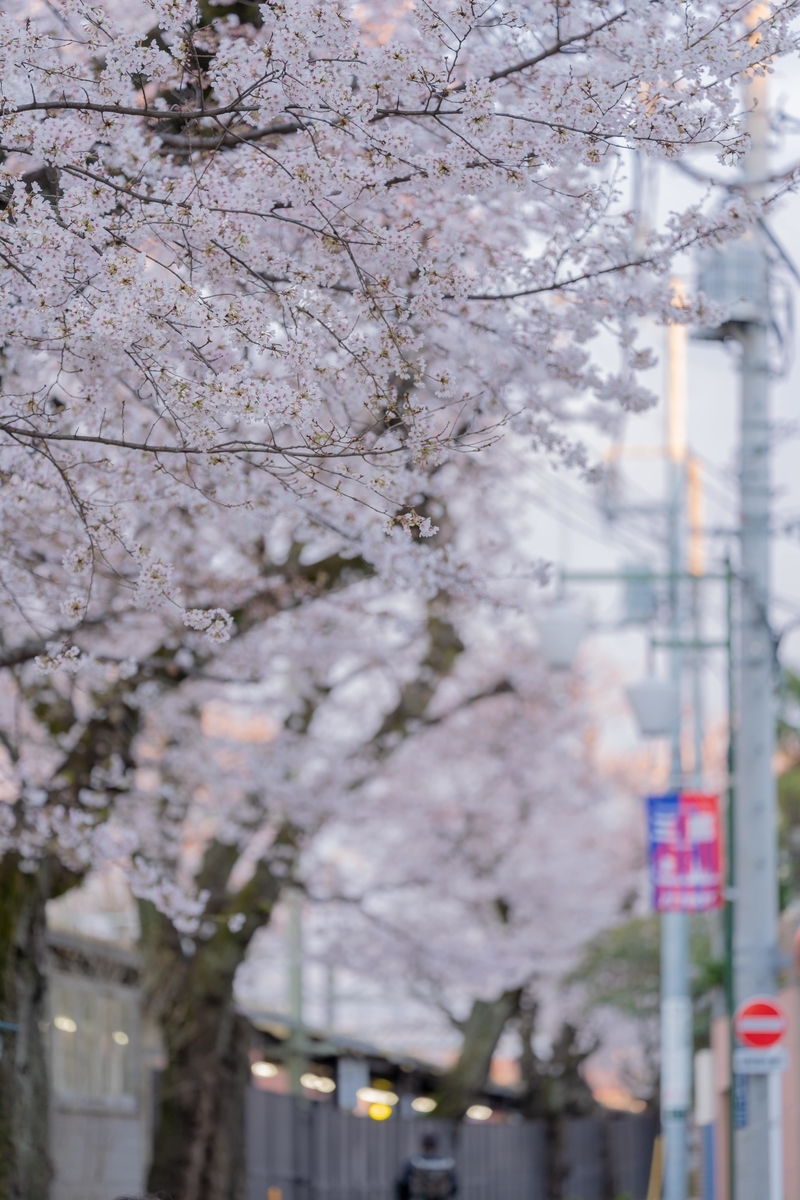 f:id:rion9raven:20190404222743j:plain