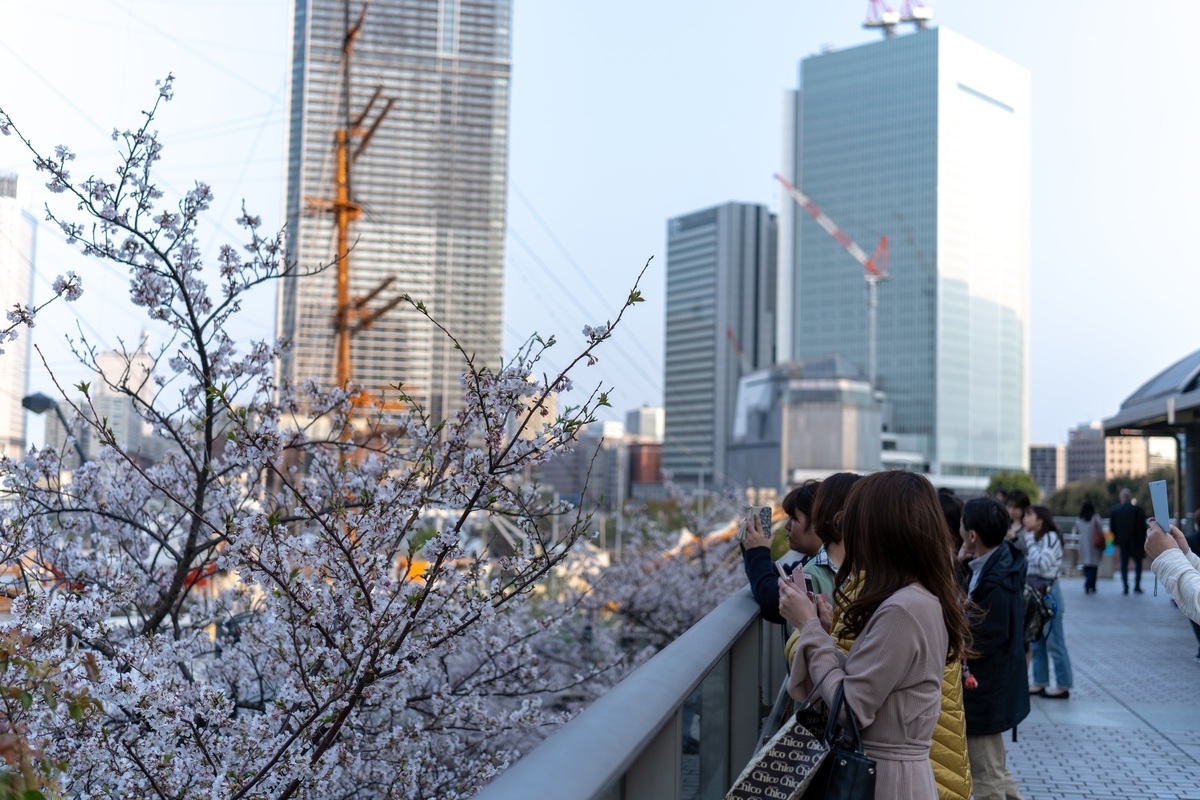 f:id:rion9raven:20190406234032j:plain