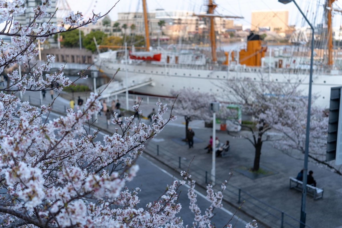 f:id:rion9raven:20190406234052j:plain