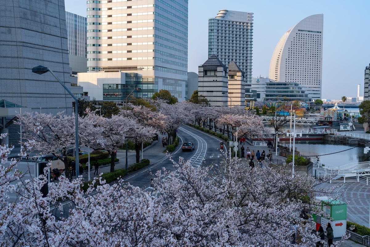 f:id:rion9raven:20190406234113j:plain