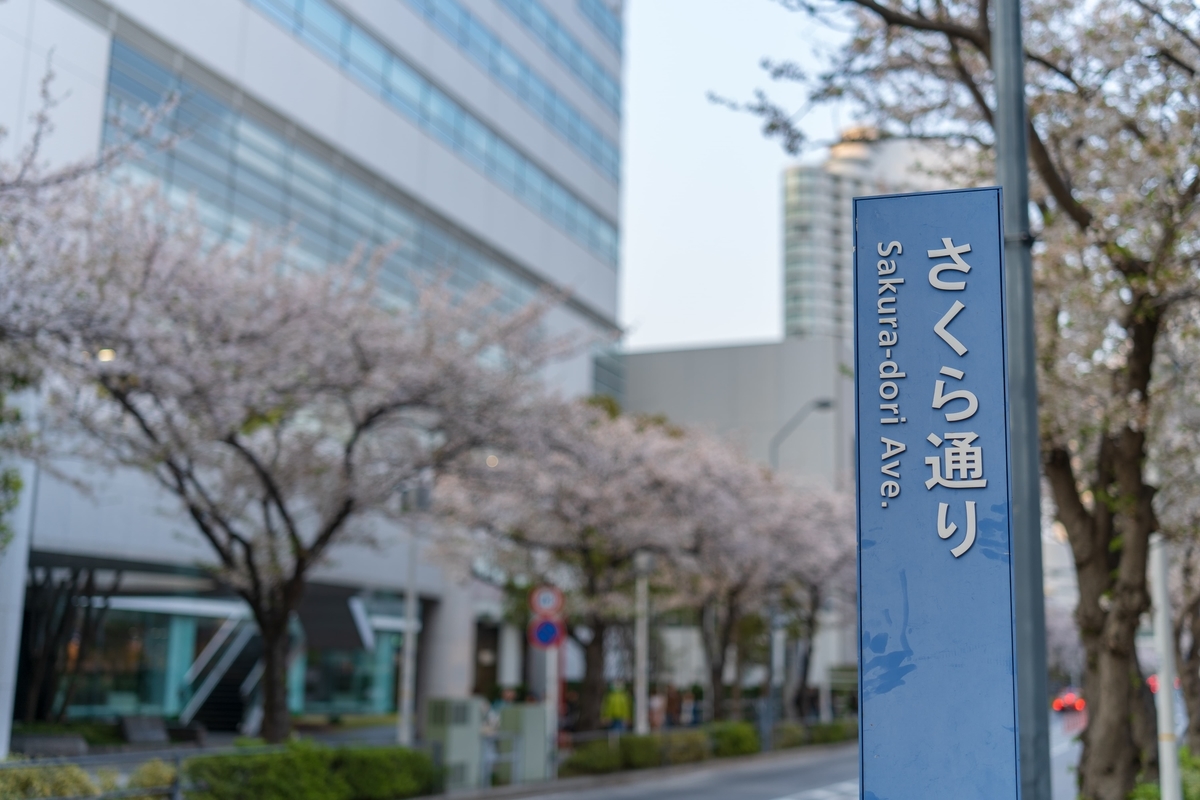 f:id:rion9raven:20190406234250j:plain