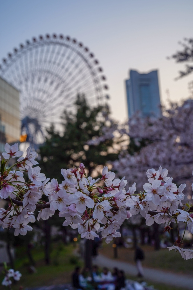 f:id:rion9raven:20190417002438j:plain