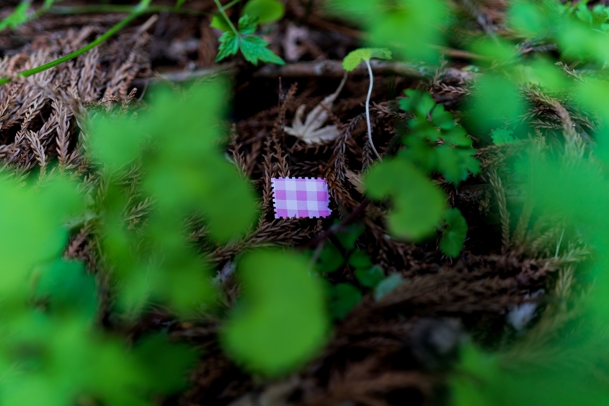 f:id:rion9raven:20190515231722j:plain