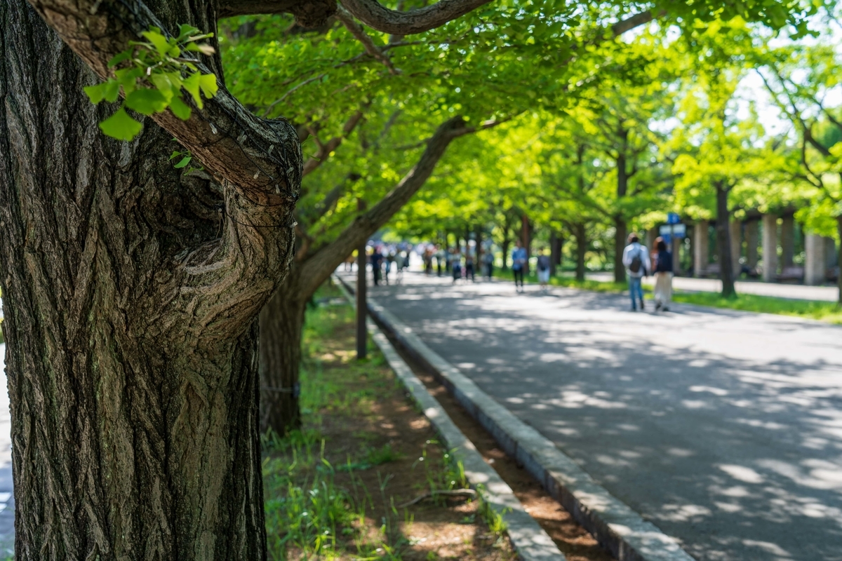 f:id:rion9raven:20190519233634j:plain