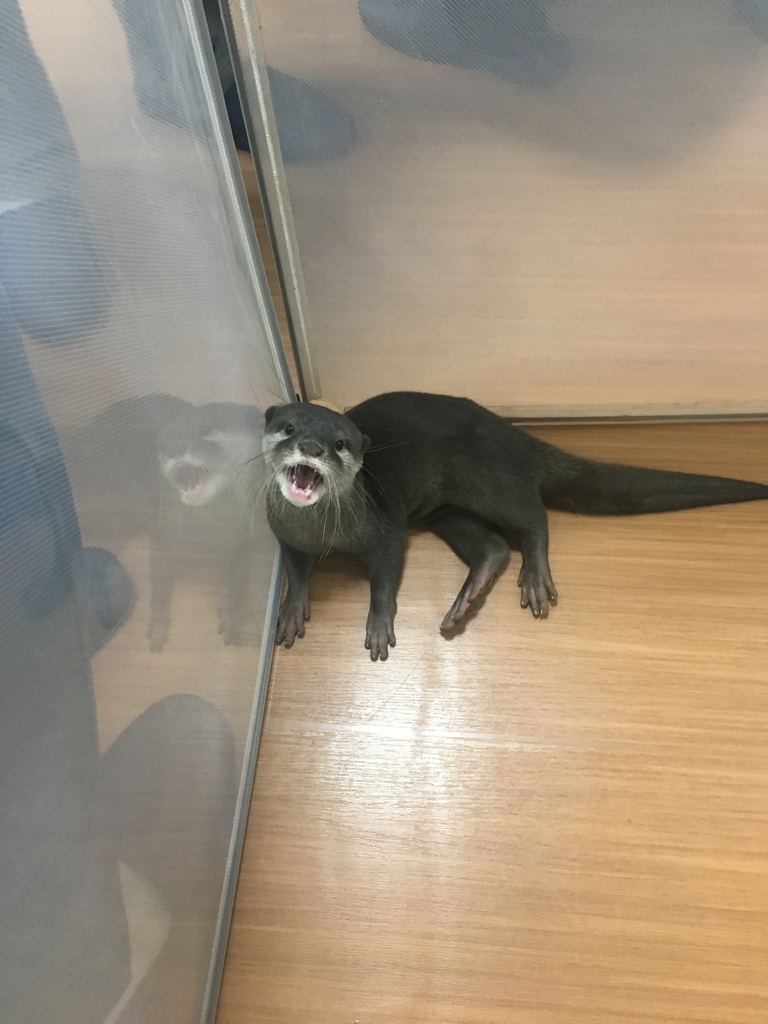 f:id:rioner2525:20190225112325j:plain