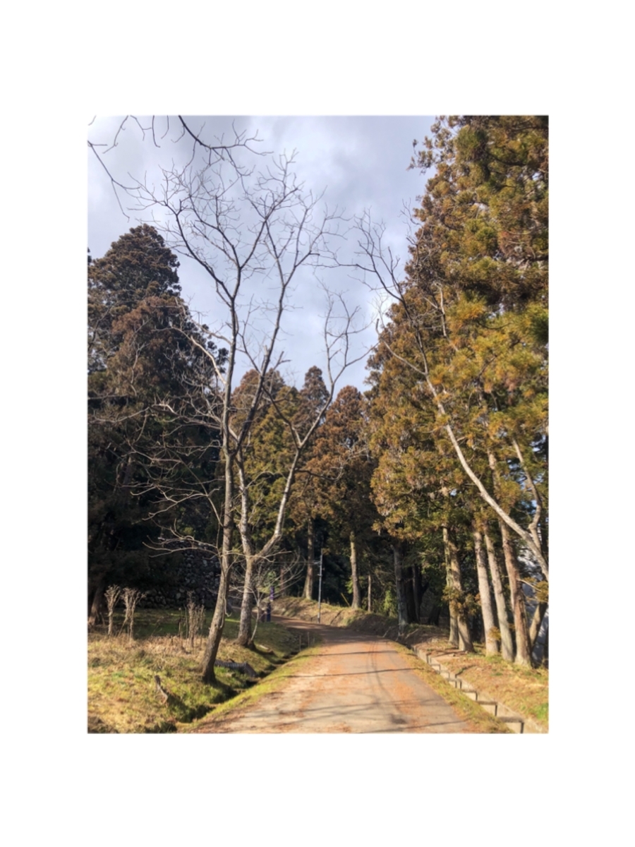 f:id:rioriochi620:20220206092843j:plain