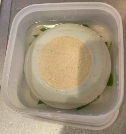 ハマウドを酢に漬ける