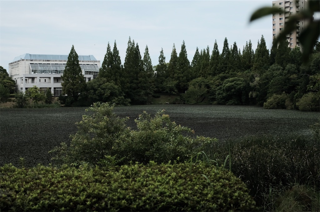 f:id:riowner:20250813092020j:image
