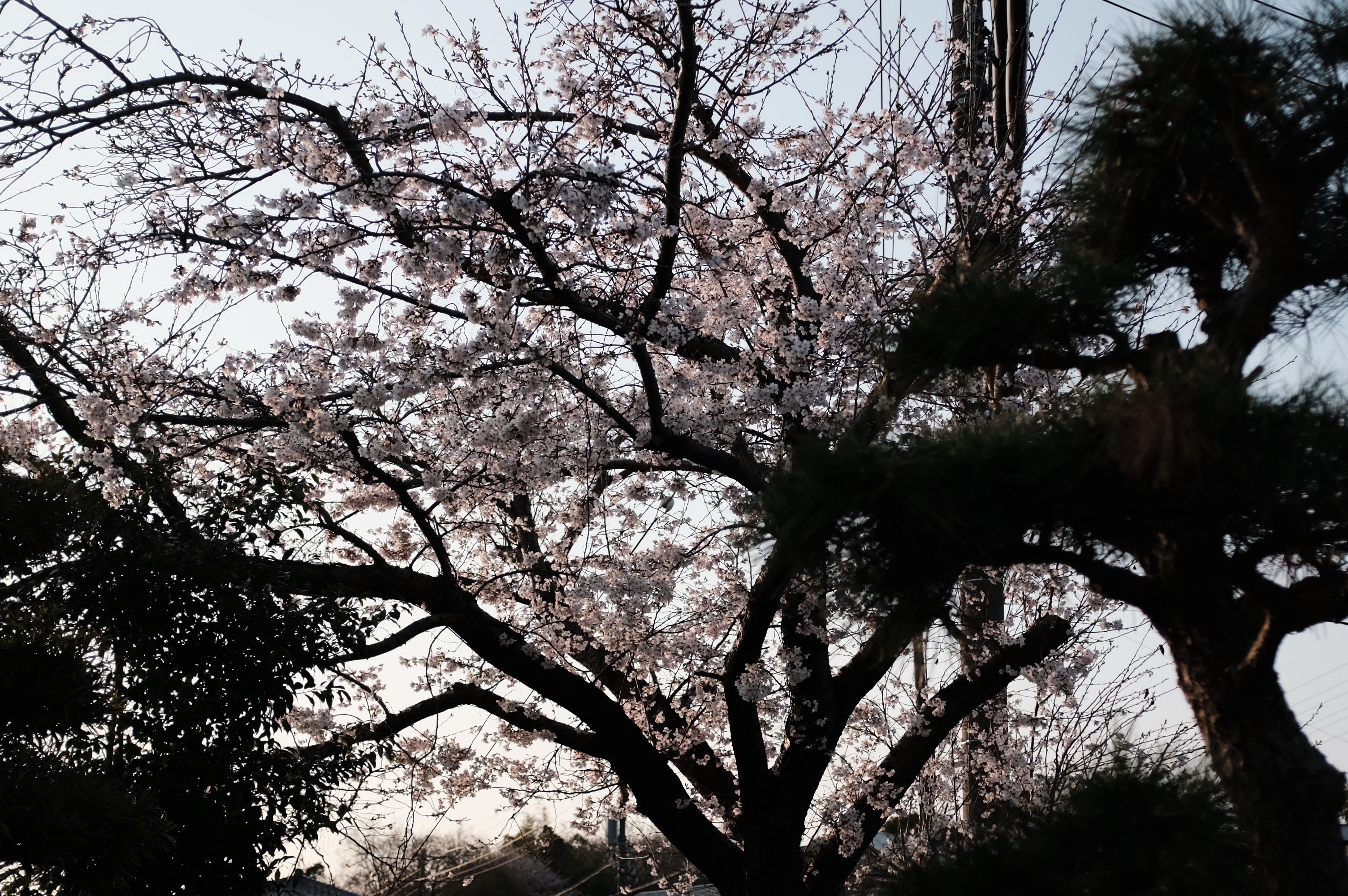 f:id:riowner:20260328071147j:image