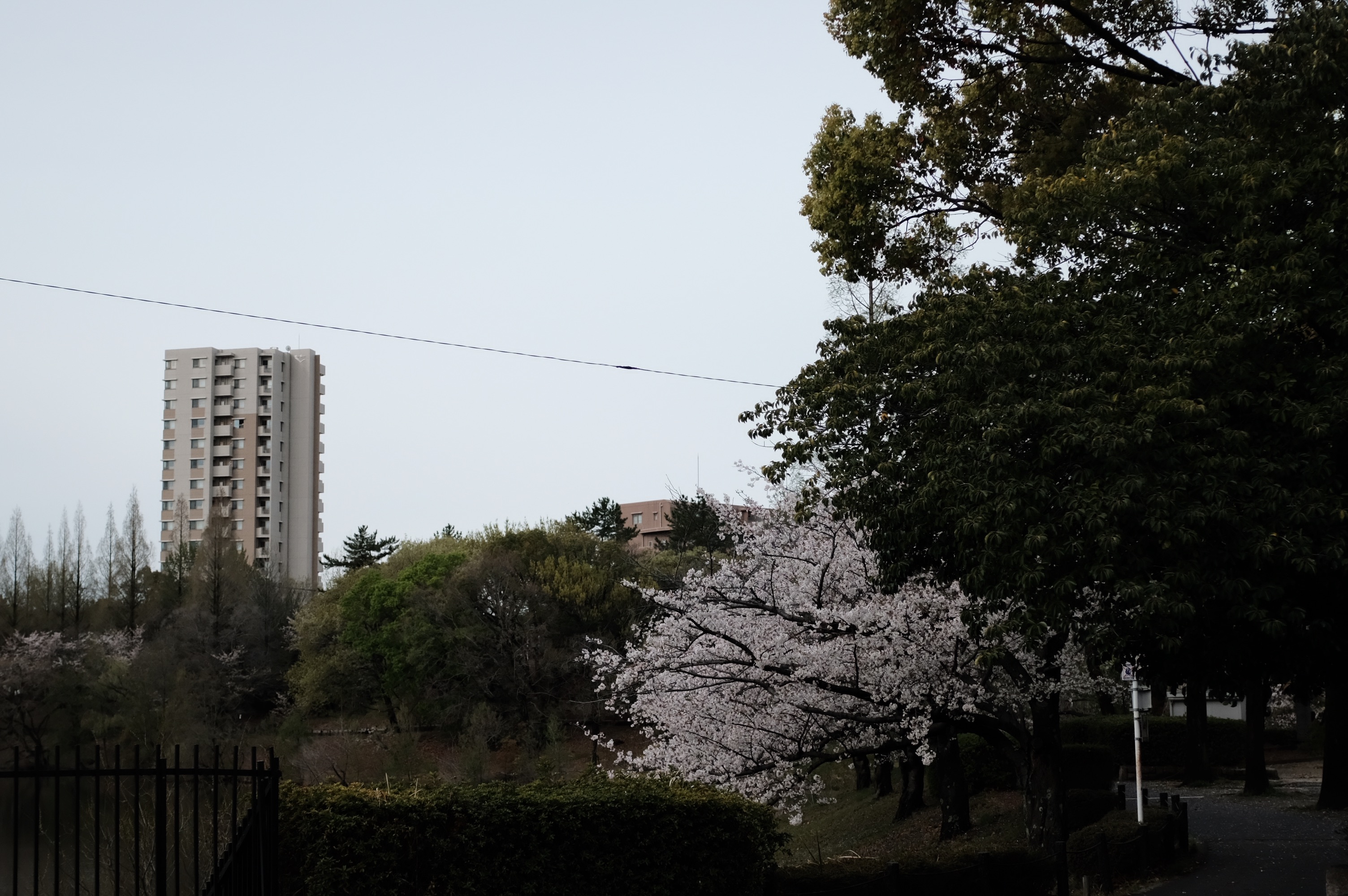 f:id:riowner:20260405082646j:image