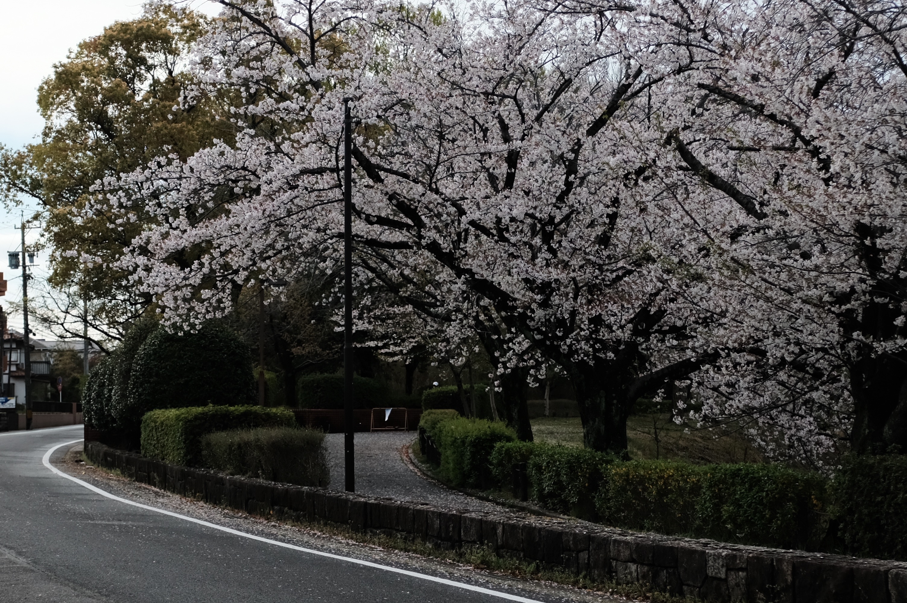 f:id:riowner:20260405082653j:image