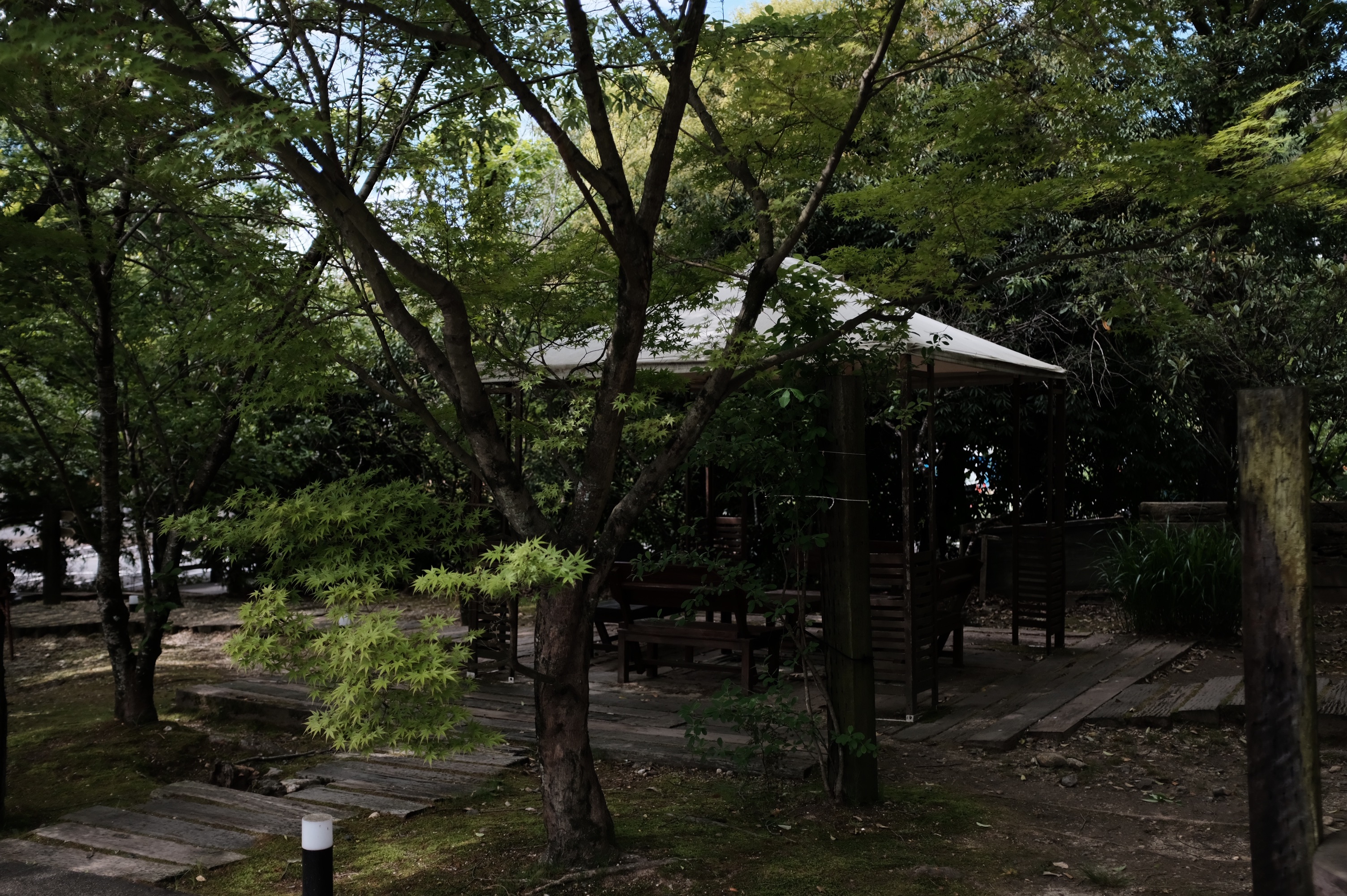 f:id:riowner:20260509110656j:image