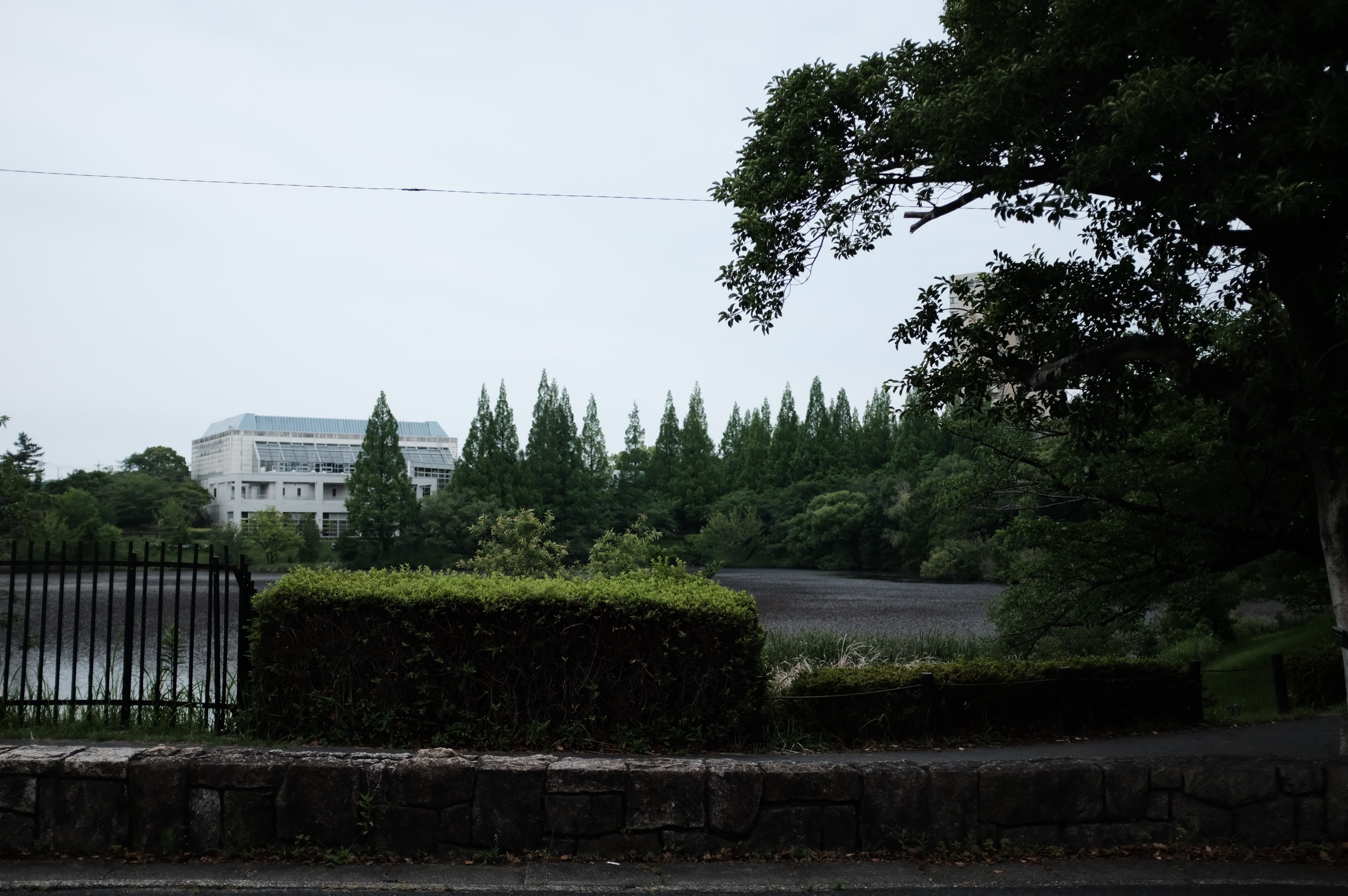 f:id:riowner:20260614162951j:image