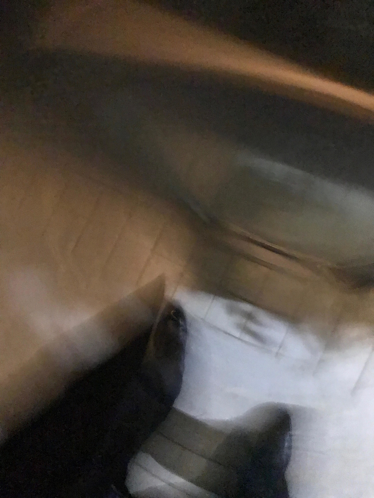 f:id:rioyoshida:20190124212316j:plain f:id:rioyoshida:20190124212316j:plain