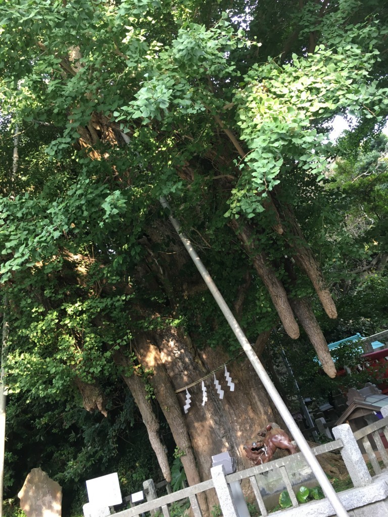 f:id:rioysd:20170912200938j:plain f:id:rioysd:20170912200938j:plain