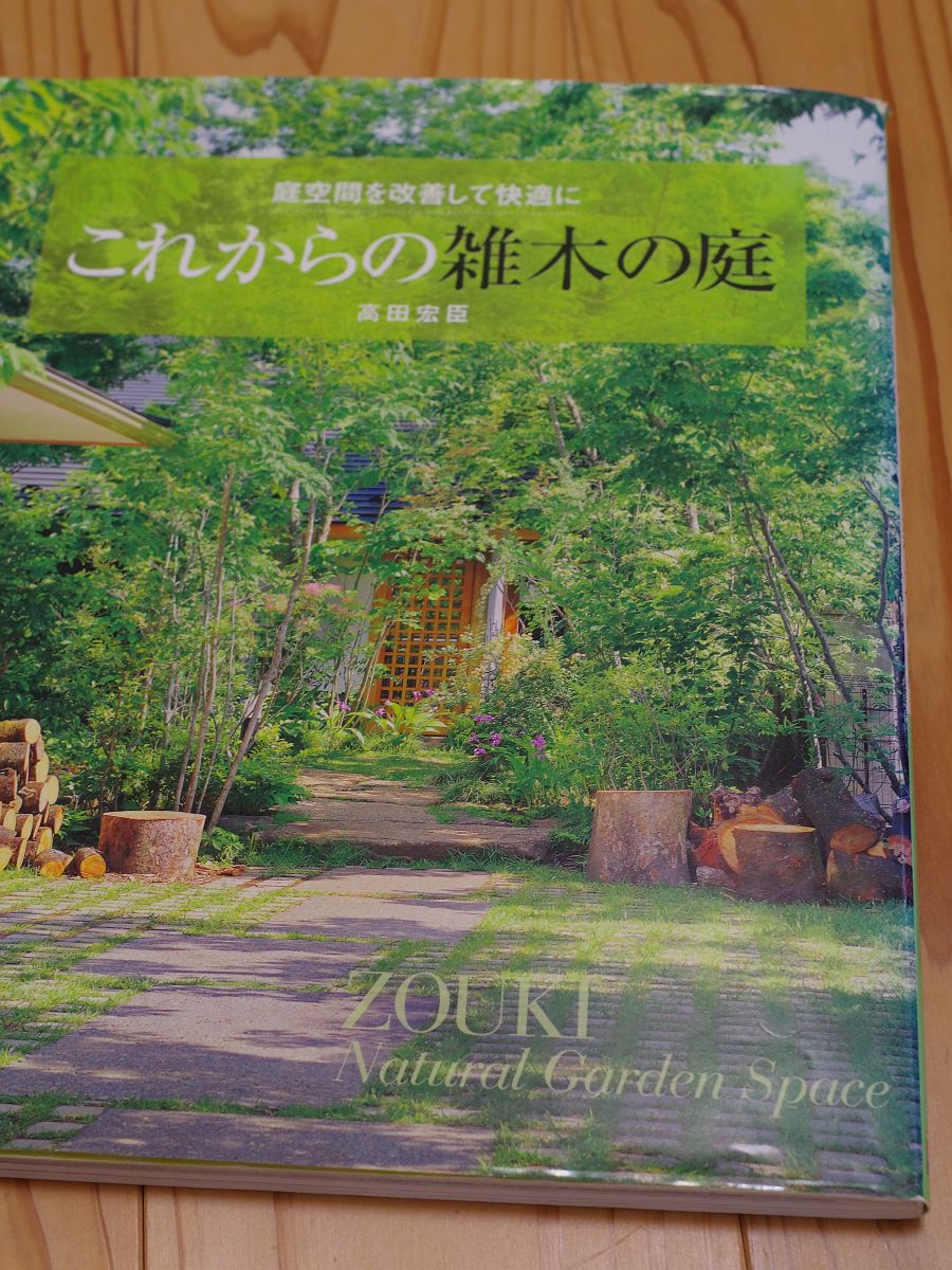 庭の様子（2025年4月26～29日）新緑と木漏れ日の庭 - 雑木と歩む庭