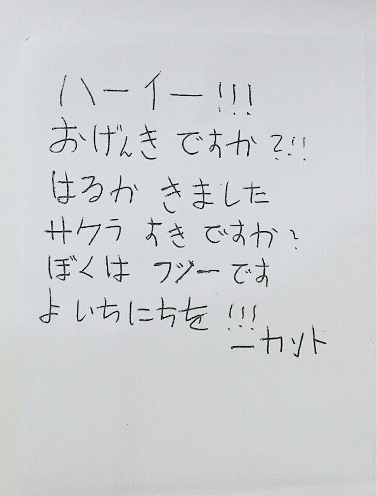 f:id:ripesumai:20180823000905j:image f:id:ripesumai:20180823000905j:image