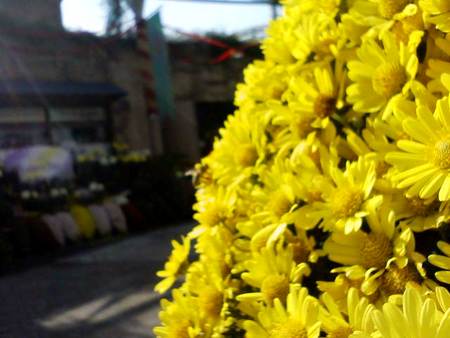 f:id:ripjyr:20071104121807j:image