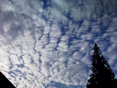 f:id:ripjyr:20071104160130j:image