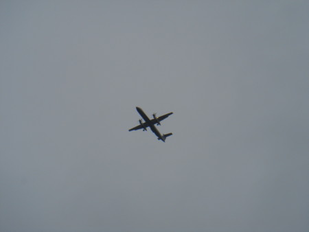 f:id:ripjyr:20081006081232j:image