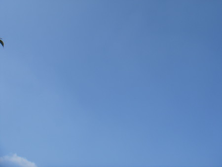 f:id:ripjyr:20081019132403j:image