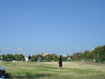 f:id:ripjyr:20081019132419j:image