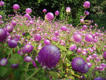 f:id:ripjyr:20081019140555j:image