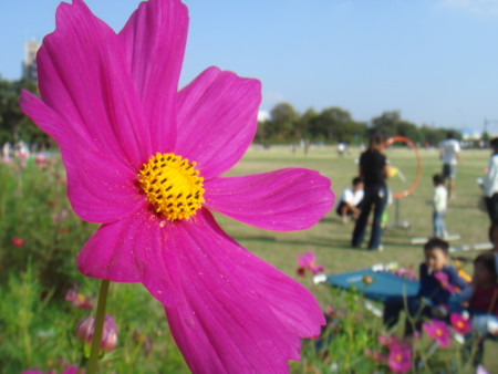 f:id:ripjyr:20081019143416j:image