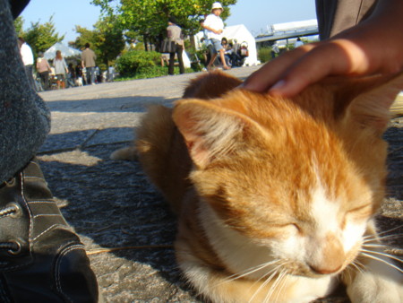 f:id:ripjyr:20081019153044j:image