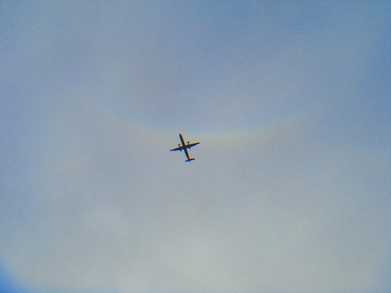 f:id:ripjyr:20100217082115j:image