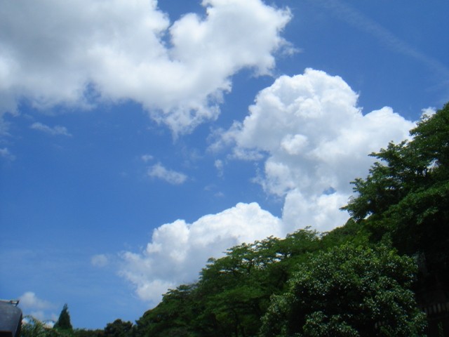 f:id:ripjyr:20100717115325j:image