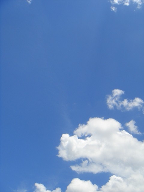 f:id:ripjyr:20100718125034j:image