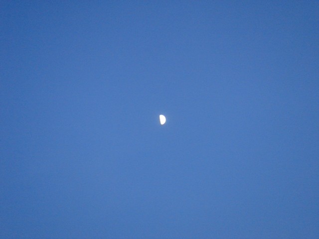 f:id:ripjyr:20100719191527j:image