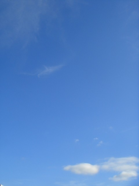 f:id:ripjyr:20100720072143j:image