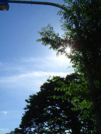 f:id:ripjyr:20100720081138j:image