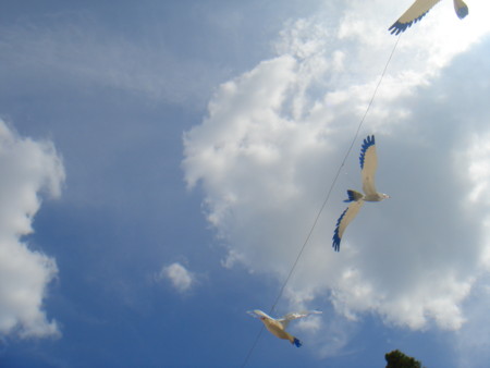 f:id:ripjyr:20100725145455j:image