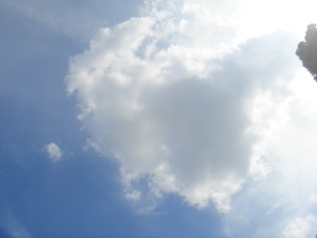 f:id:ripjyr:20100725145506j:image