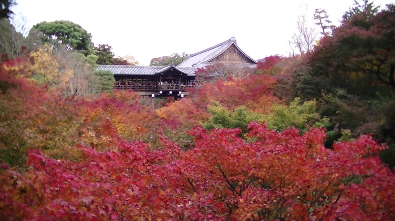 f:id:ripjyr:20121120142448j:image:w400