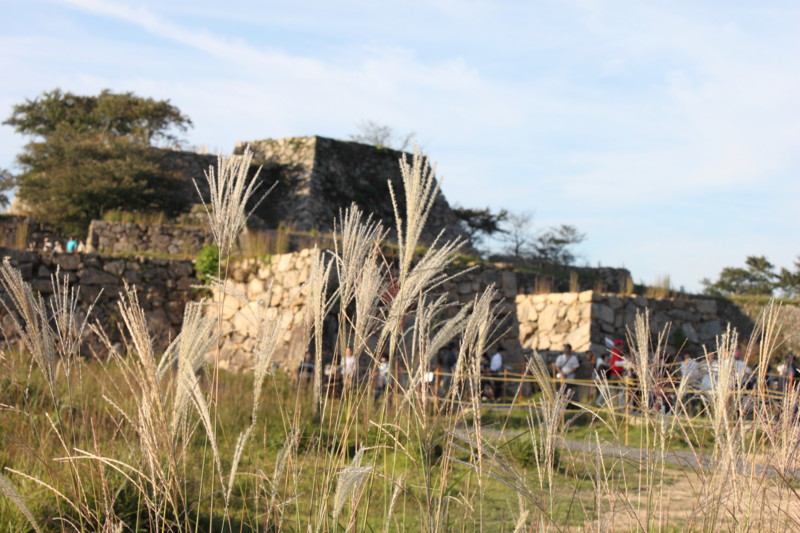 f:id:ripjyr:20140923162612j:image