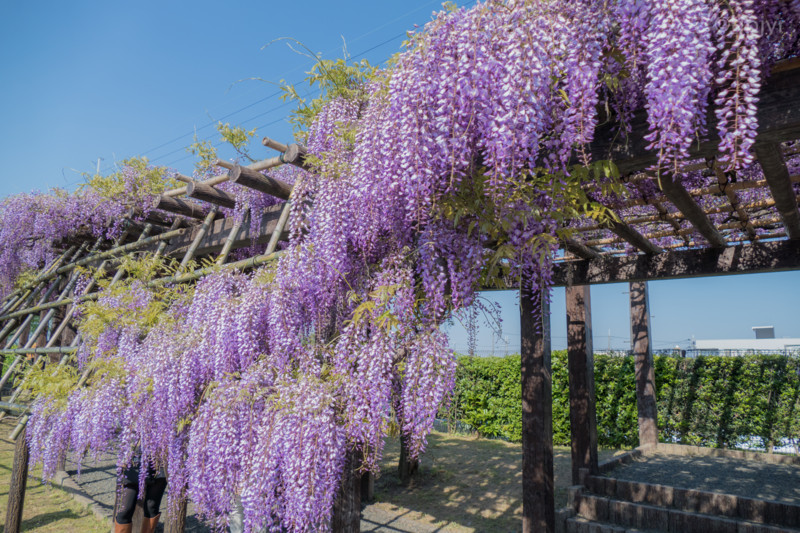 f:id:ripjyr:20150426152604j:image