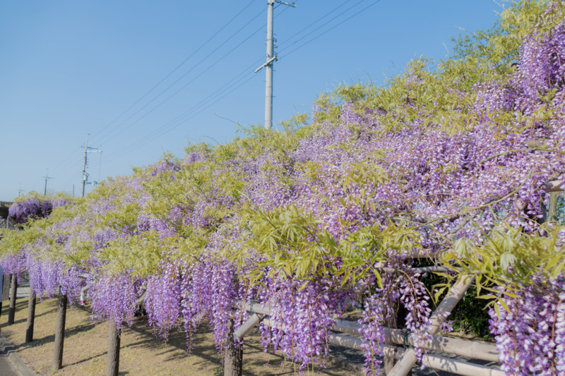 f:id:ripjyr:20150426154927j:image