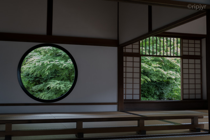 f:id:ripjyr:20160621110010j:image