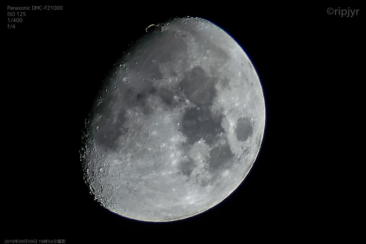 f:id:ripjyr:20190909195440j:plain