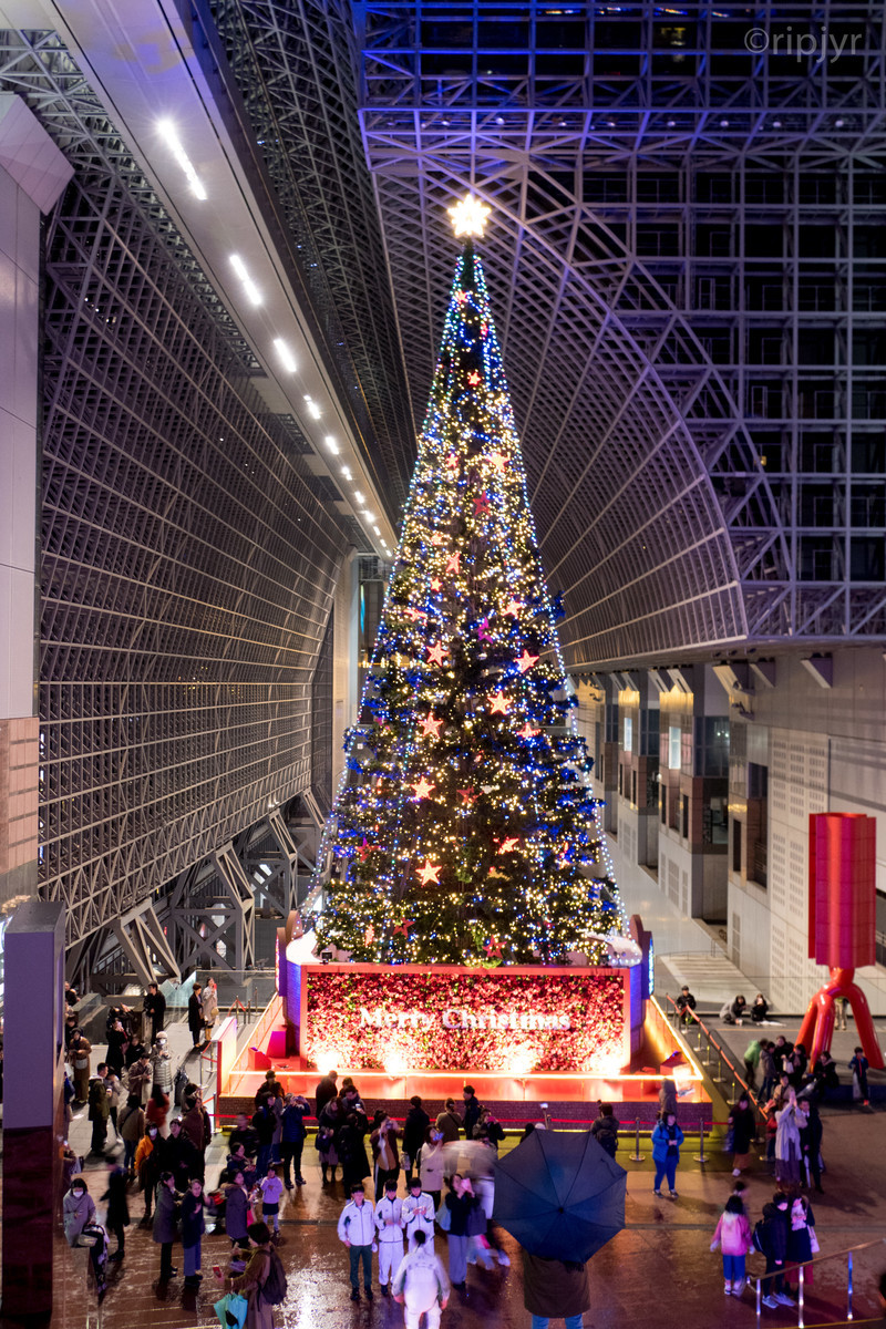 f:id:ripjyr:20191222204513j:plain