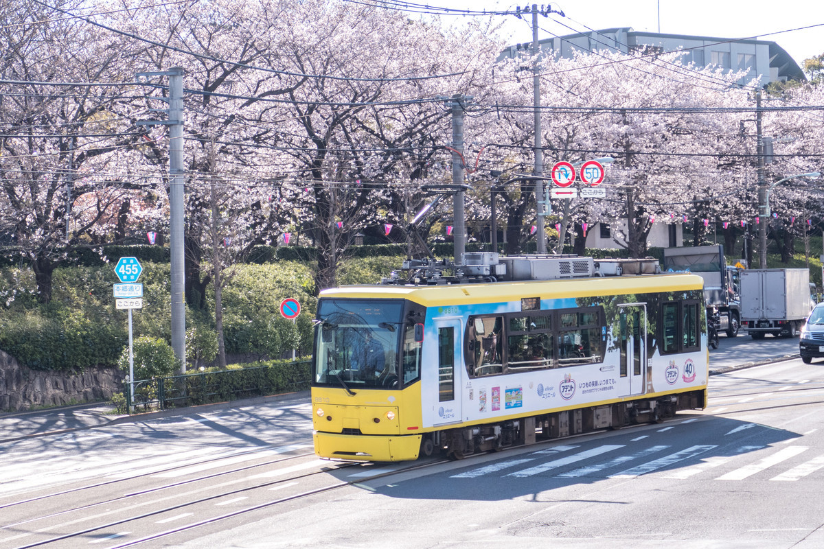 f:id:ripjyr:20200324081342j:plain